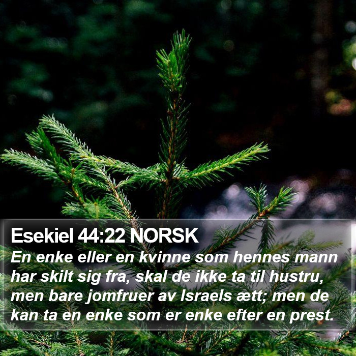 Esekiel 44:22 NORSK Bible Study