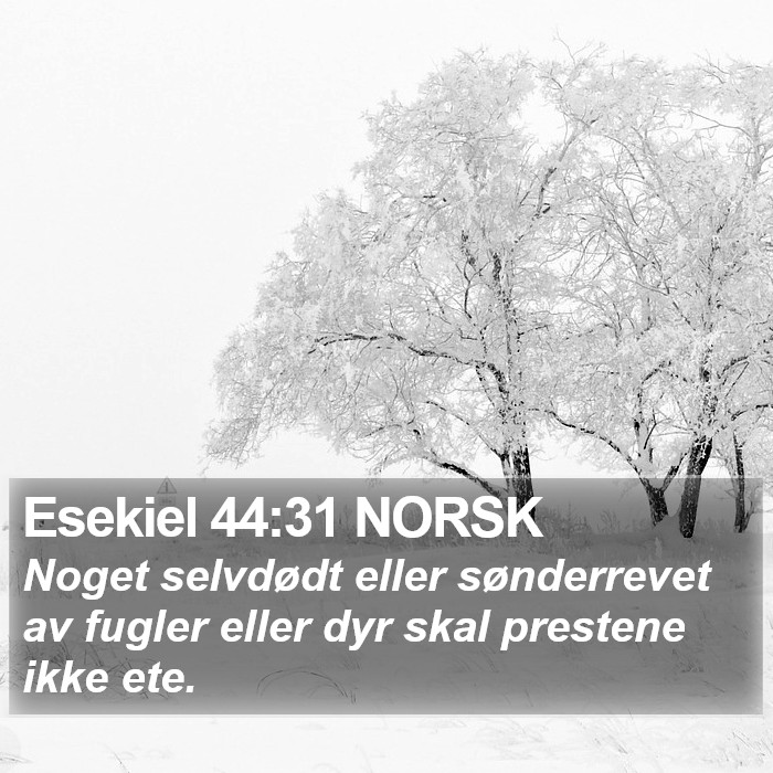 Esekiel 44:31 NORSK Bible Study