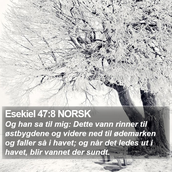 Esekiel 47:8 NORSK Bible Study