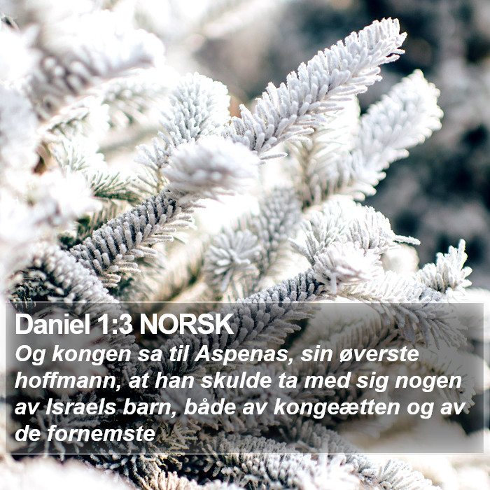 Daniel 1:3 NORSK Bible Study