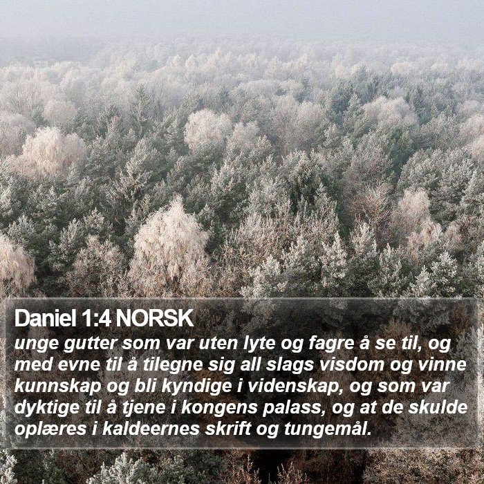 Daniel 1:4 NORSK Bible Study