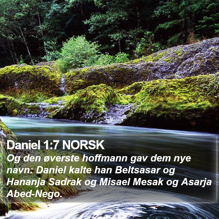 Daniel 1:7 NORSK Bible Study