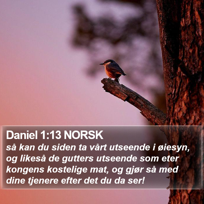 Daniel 1:13 NORSK Bible Study