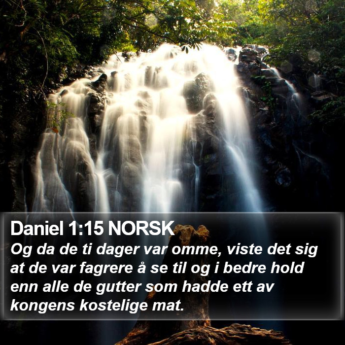 Daniel 1:15 NORSK Bible Study