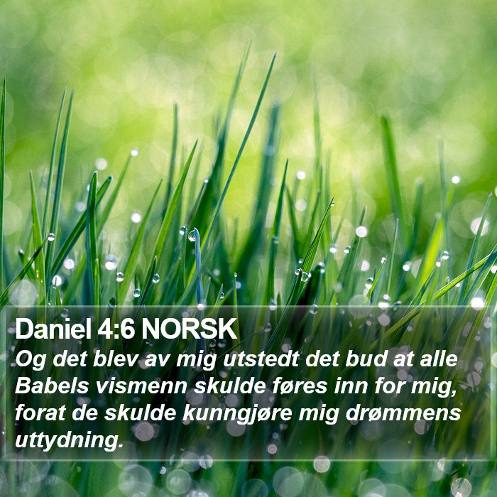 Daniel 4:6 NORSK Bible Study