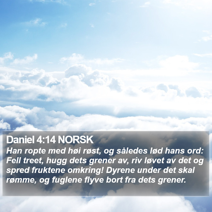 Daniel 4:14 NORSK Bible Study