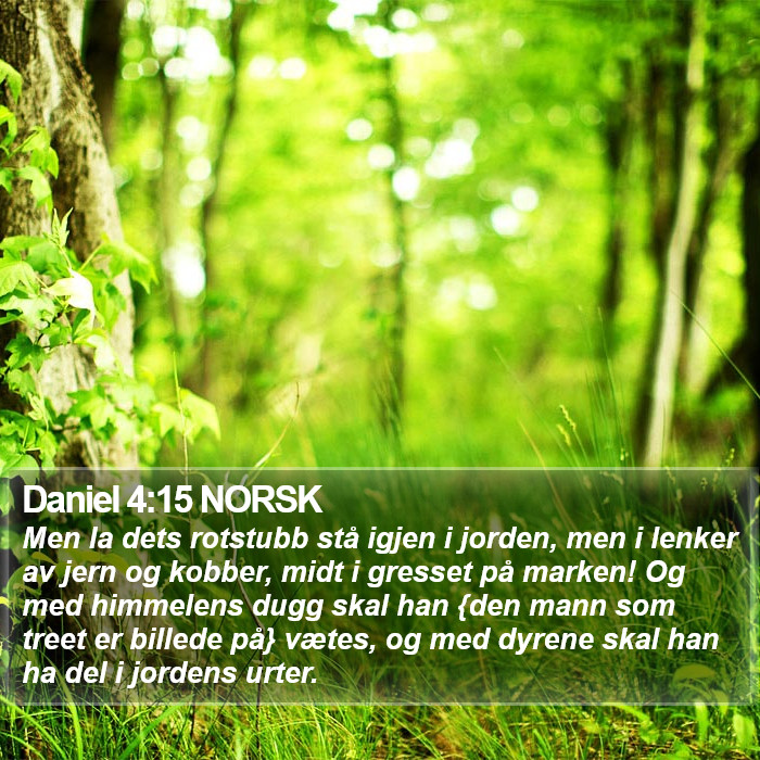 Daniel 4:15 NORSK Bible Study