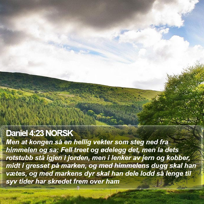 Daniel 4:23 NORSK Bible Study