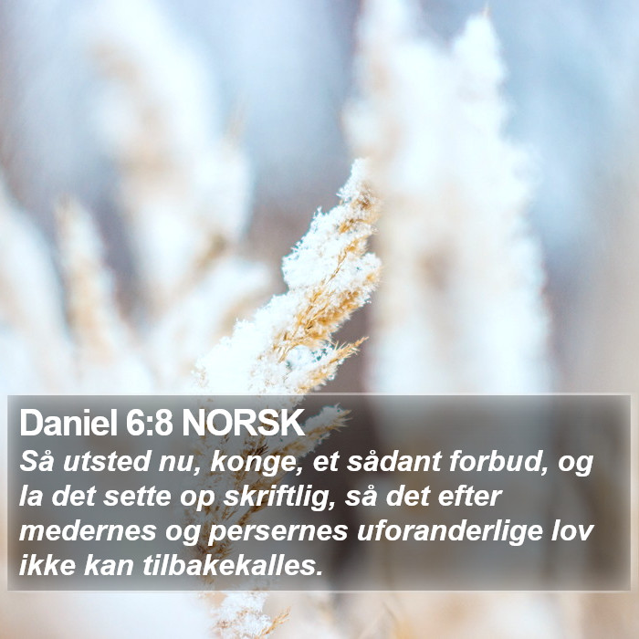 Daniel 6:8 NORSK Bible Study