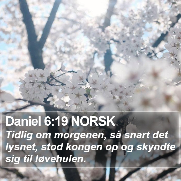 Daniel 6:19 NORSK Bible Study