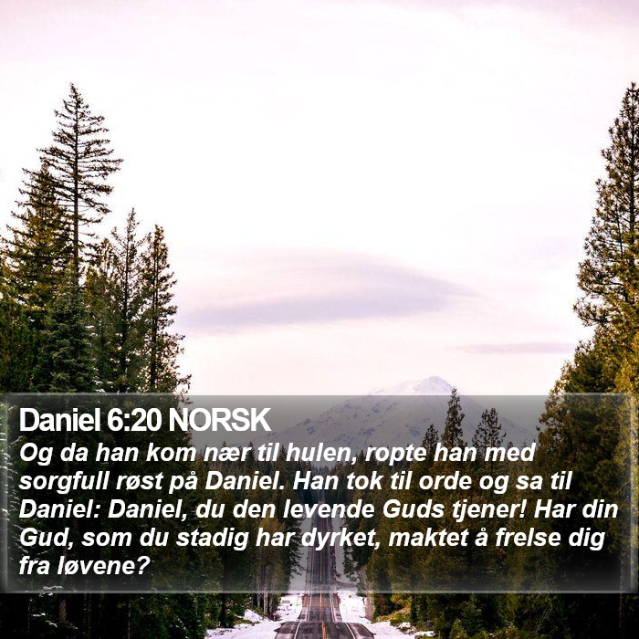 Daniel 6:20 NORSK Bible Study