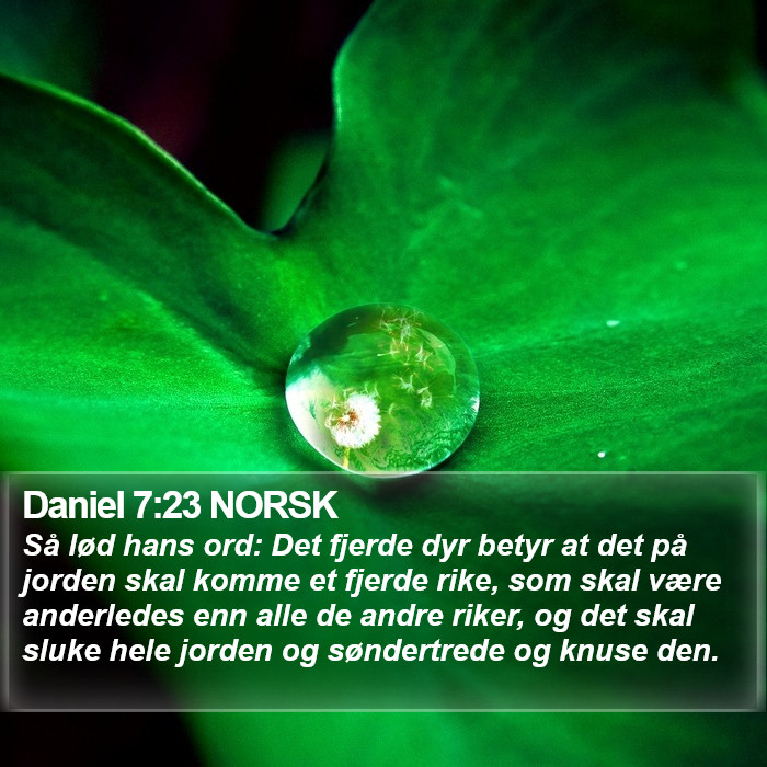 Daniel 7:23 NORSK Bible Study