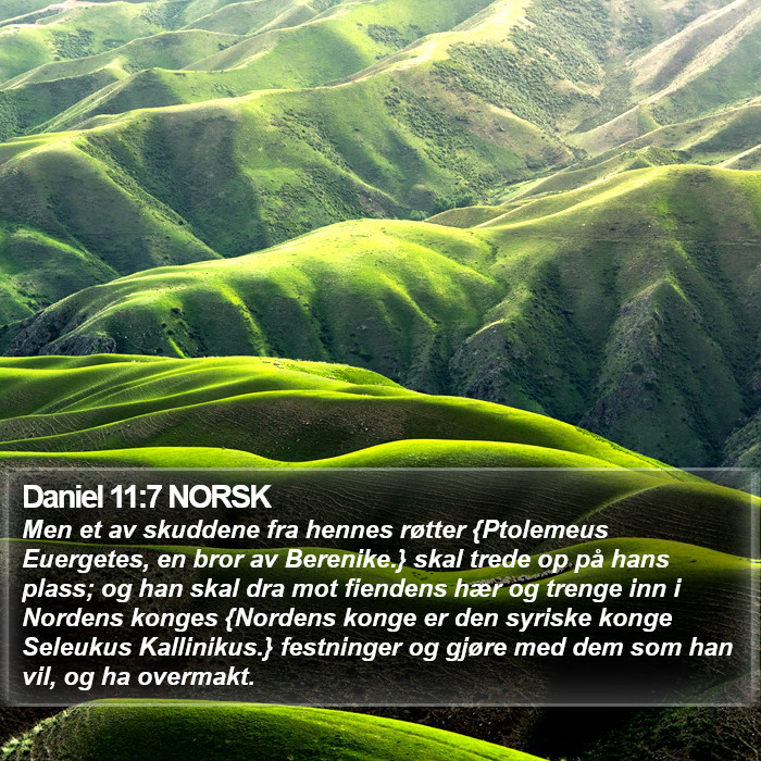 Daniel 11:7 NORSK Bible Study