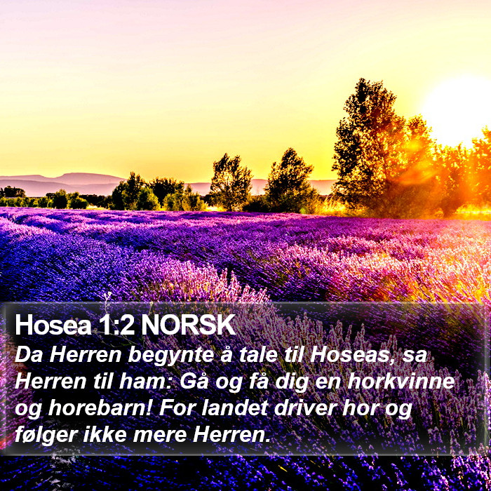 Hosea 1:2 NORSK Bible Study