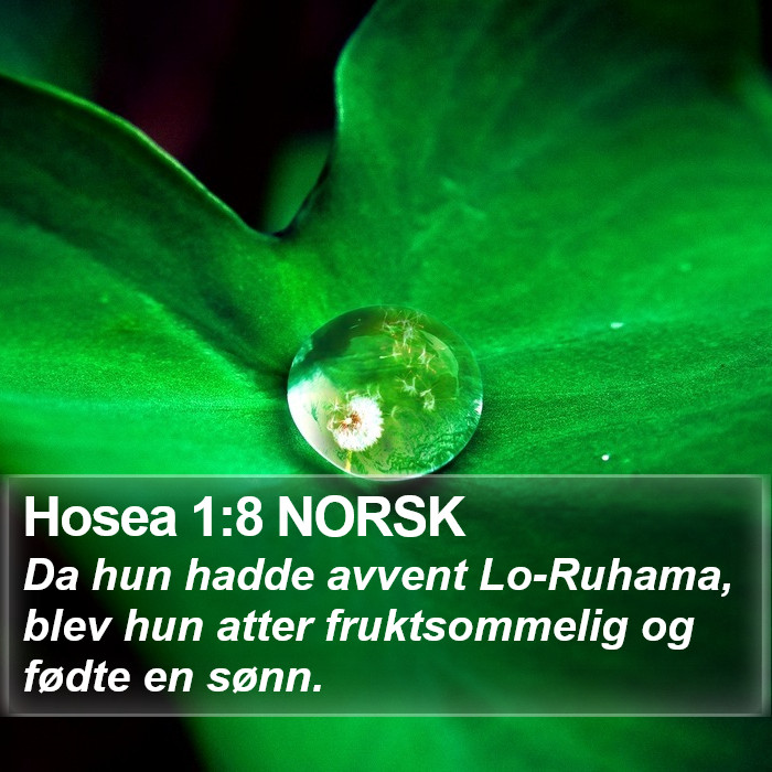 Hosea 1:8 NORSK Bible Study