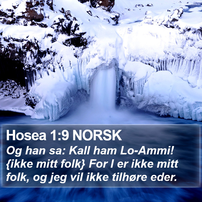 Hosea 1:9 NORSK Bible Study