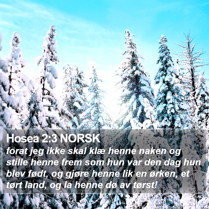 Hosea 2:3 NORSK Bible Study