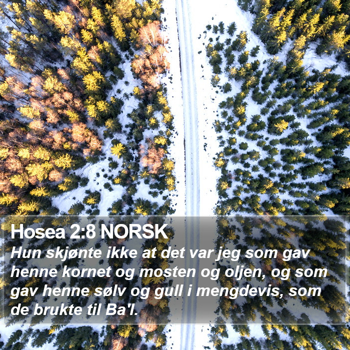 Hosea 2:8 NORSK Bible Study