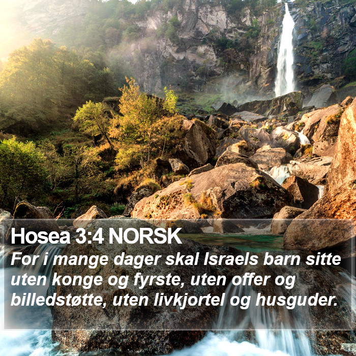 Hosea 3:4 NORSK Bible Study