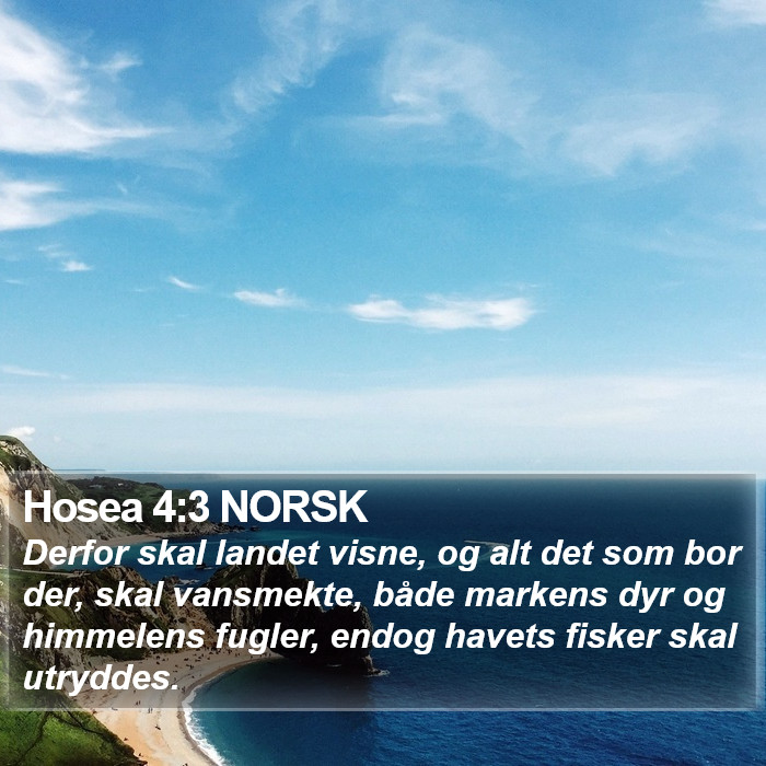 Hosea 4:3 NORSK Bible Study