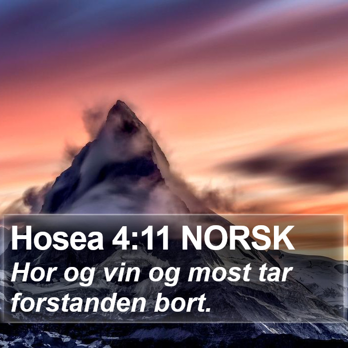 Hosea 4:11 NORSK Bible Study