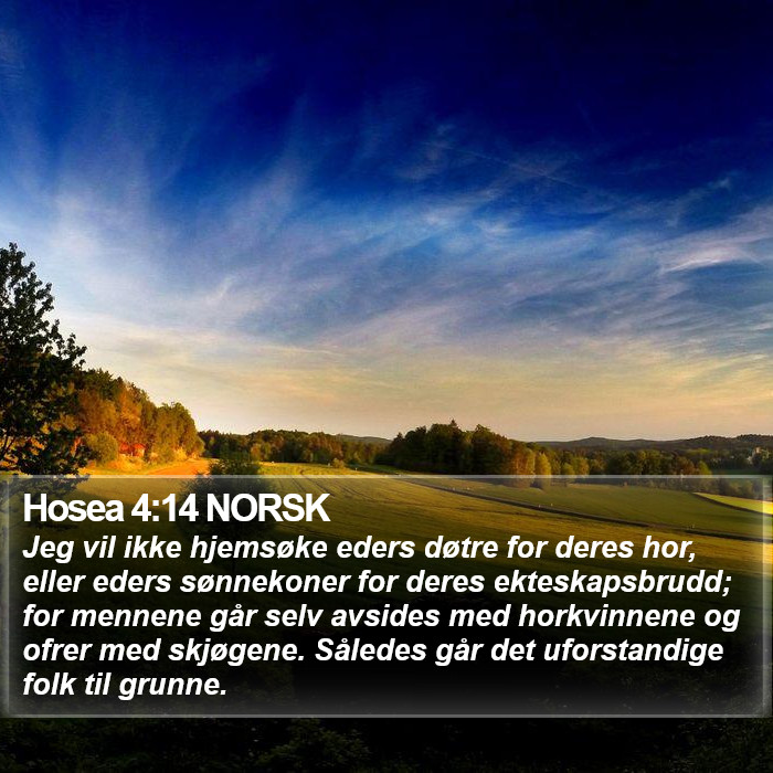 Hosea 4:14 NORSK Bible Study