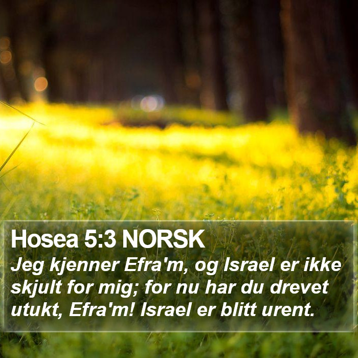 Hosea 5:3 NORSK Bible Study