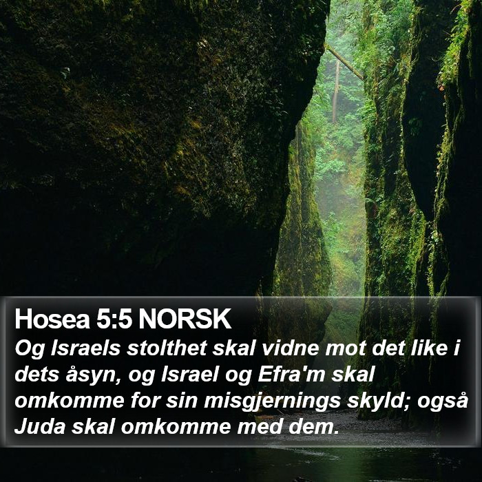 Hosea 5:5 NORSK Bible Study