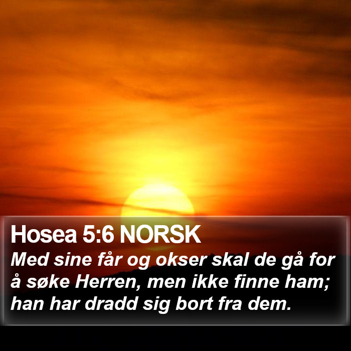 Hosea 5:6 NORSK Bible Study