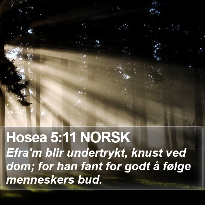 Hosea 5:11 NORSK Bible Study