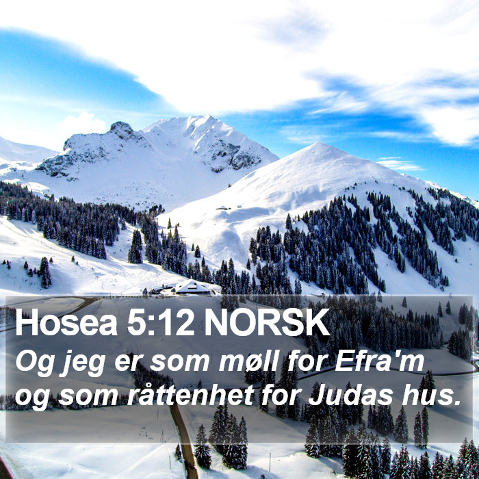 Hosea 5:12 NORSK Bible Study