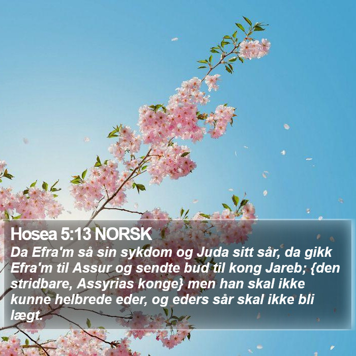 Hosea 5:13 NORSK Bible Study