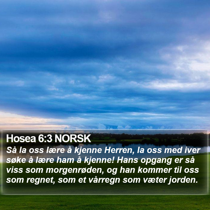 Hosea 6:3 NORSK Bible Study