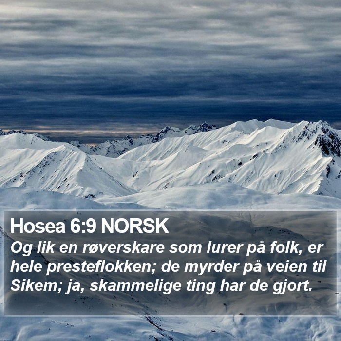 Hosea 6:9 NORSK Bible Study