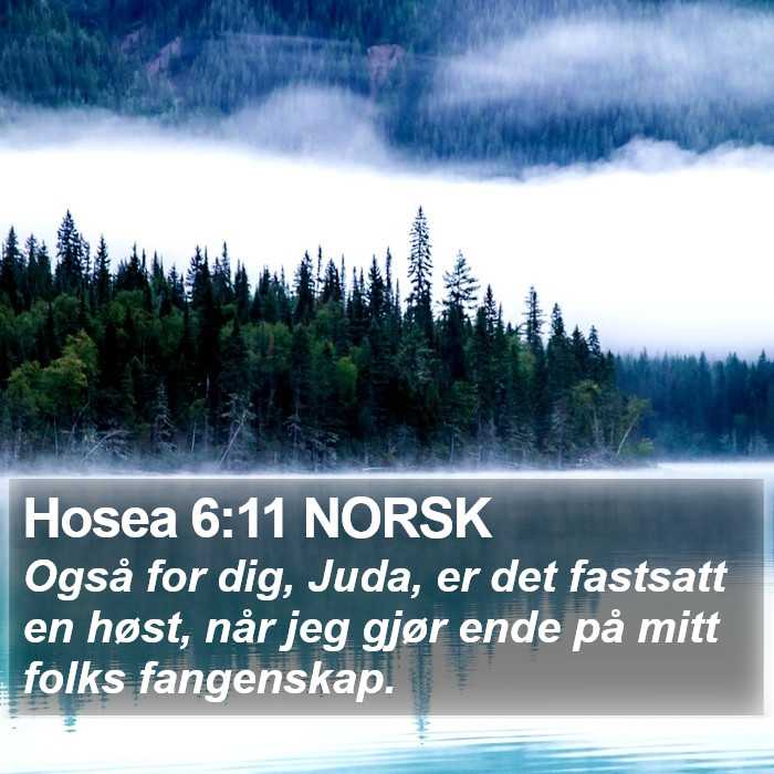 Hosea 6:11 NORSK Bible Study