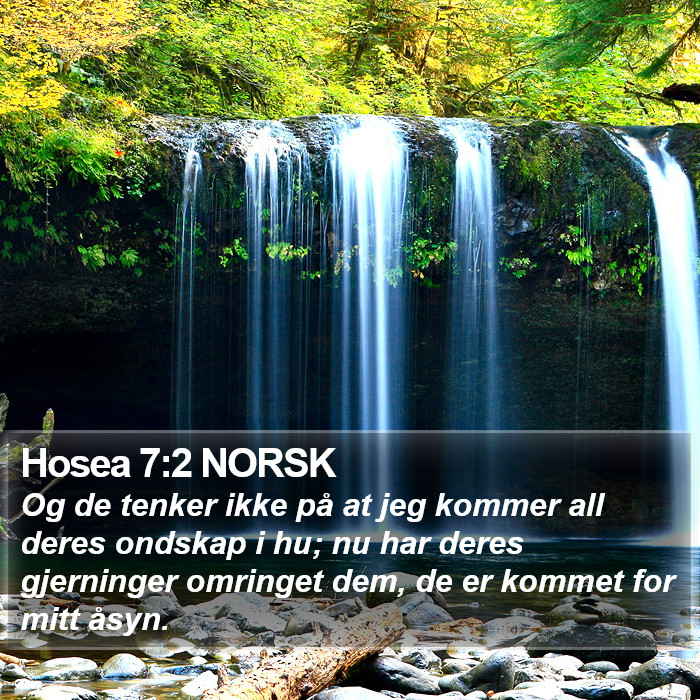 Hosea 7:2 NORSK Bible Study