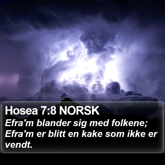 Hosea 7:8 NORSK Bible Study