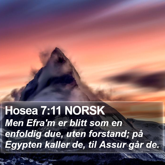 Hosea 7:11 NORSK Bible Study