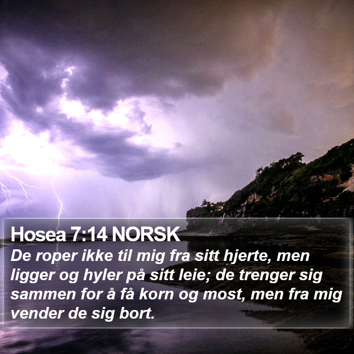 Hosea 7:14 NORSK Bible Study