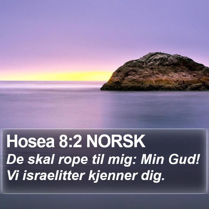 Hosea 8:2 NORSK Bible Study