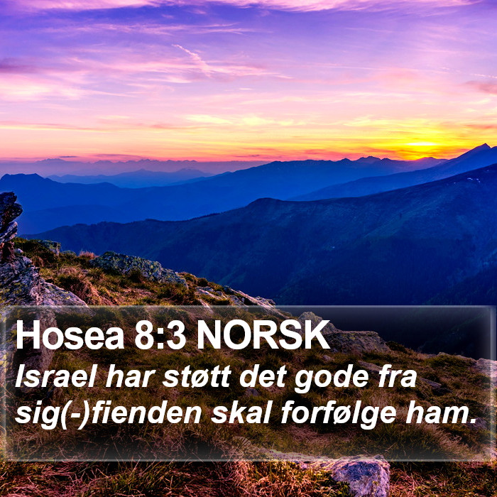 Hosea 8:3 NORSK Bible Study