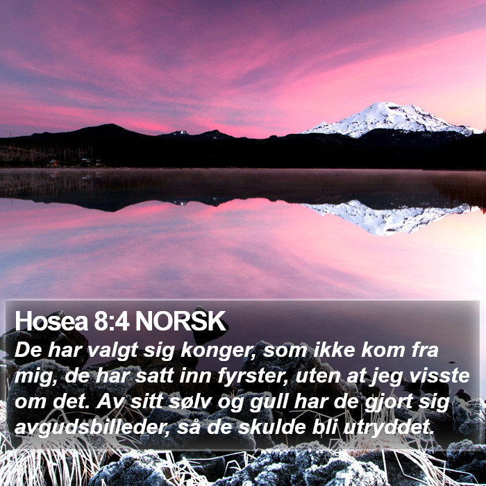 Hosea 8:4 NORSK Bible Study