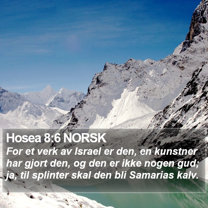 Hosea 8:6 NORSK Bible Study