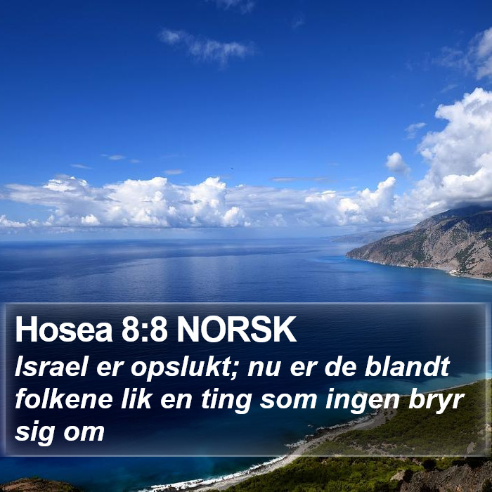 Hosea 8:8 NORSK Bible Study