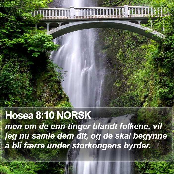 Hosea 8:10 NORSK Bible Study