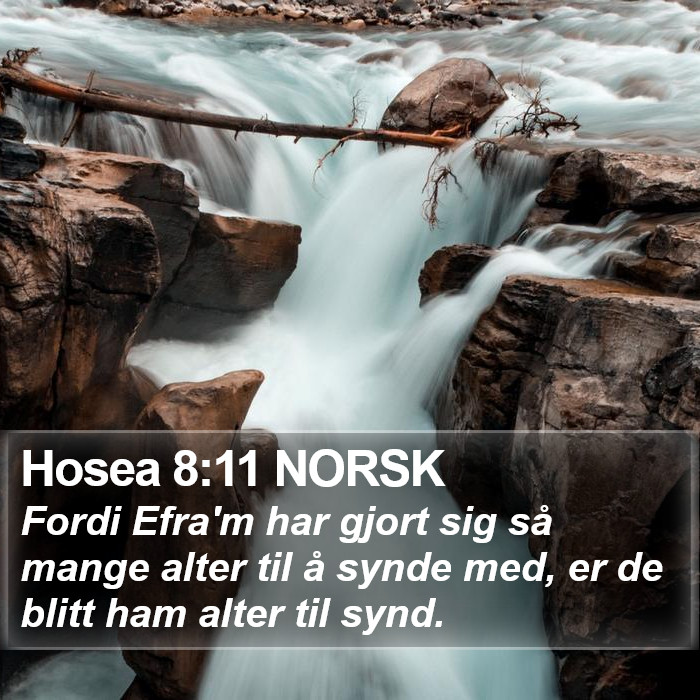 Hosea 8:11 NORSK Bible Study