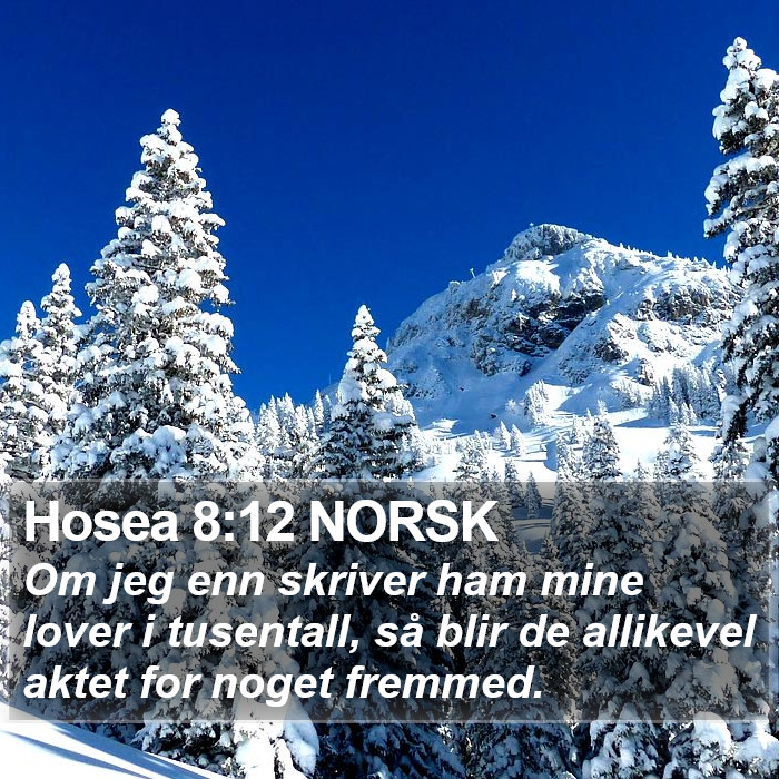 Hosea 8:12 NORSK Bible Study