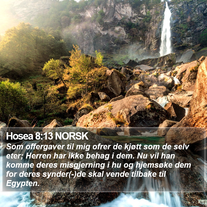 Hosea 8:13 NORSK Bible Study