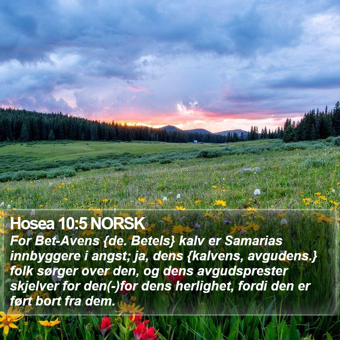 Hosea 10:5 NORSK Bible Study