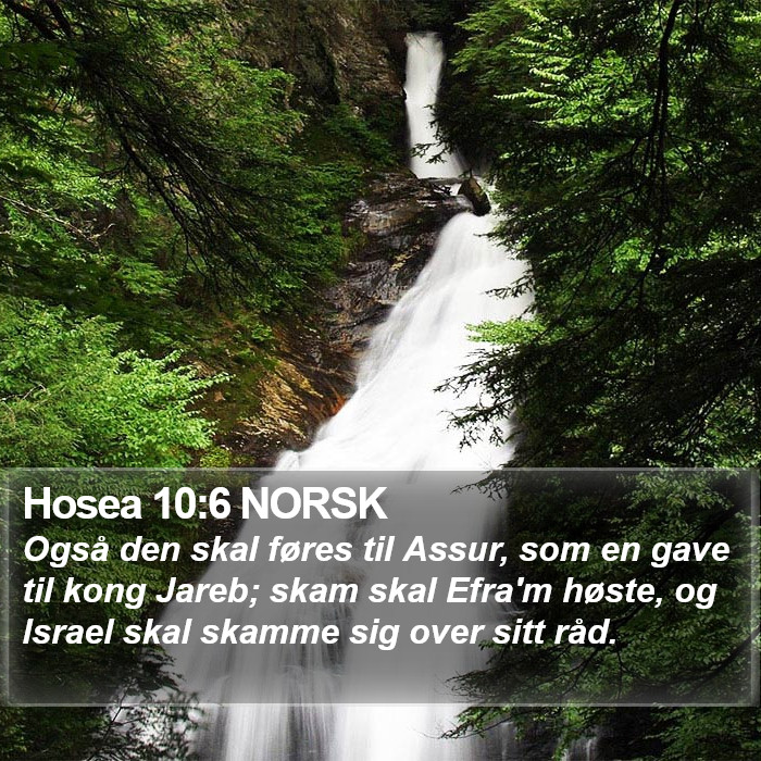 Hosea 10:6 NORSK Bible Study